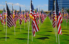 Countless American flags in a field Countless American flags in a field