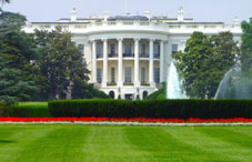 President's White House