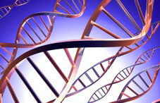 DNA illustration DNA illustration