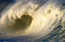 Tsunami Tsunami