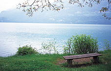 Bench on the coast of a river Bench on the coast of a river