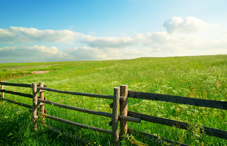 Wood fence on a grass field Wood fence on a grass field