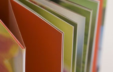A variety of color folders