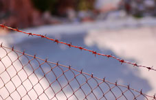 Gate with barb wire
