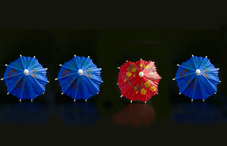 Little umbrellas for drinks