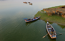 Row boats on water Row boats on water