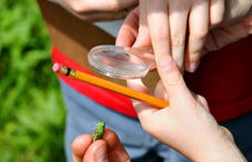 Closeup of kid's hands doing fieldwork