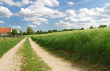 Rural road and house