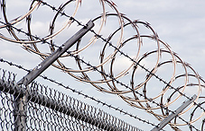 Razor wire fence top Razor wire fence top