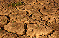 Cracked earth Cracked earth