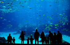 People at aquarium People at aquarium