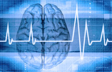 Brain scan Brain scan