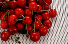 Stumbling on happiness Stumbling on happiness