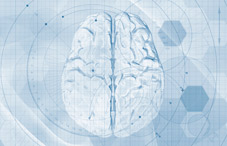 Brain Brain