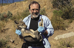 Dr. Dan Moriarty