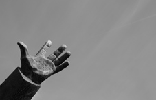 APA's remarkable reach