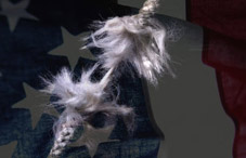 Stress in America Stress in America