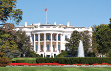 White House White House