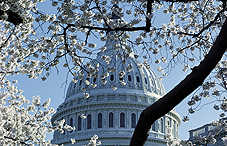 Capitol hill