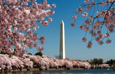 Washington Monument