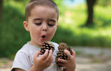 Child looking at pinecones