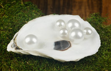 Pearls of wisdom Pearls of wisdom