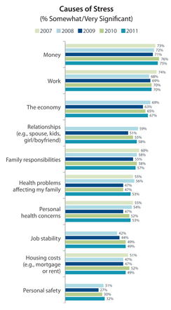 Causes of Stress 