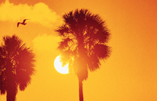 Plenary presentations at APA's Annual Convention in Orlando, Aug. 2–5
