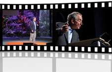 TED talks TED talks