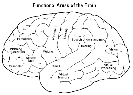 Biz/ed - What Does Each Functional Area.
