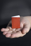 Hand holding a tiny book Hand holding a tiny book