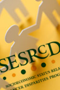 SESRCD logo on yellow background SESRCD logo on yellow background