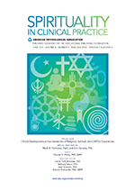 Cover of Clinical Developments at the Intersection of Religious, Spiritual, and LGBTQ+ Experiences