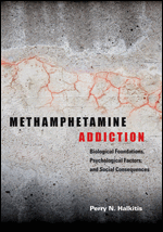 Methamphetamine Addiction