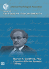 Cover of Cognitive–Affective Behavior Therapy