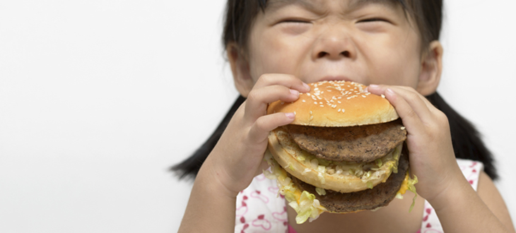Persuasive essay on childhood obesity