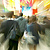 Blury photo of people walking  