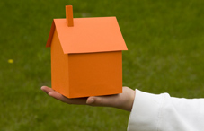 Someone holding a bird house