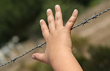 Child's hand is about to grab barb wire