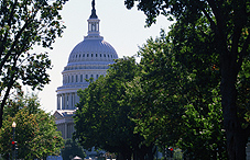 Nation's Capital in DC