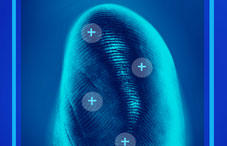 Scanned fingerprint