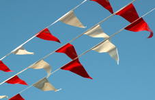 Grand opening flags