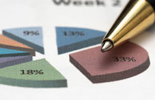 Ink pen and pie graph
