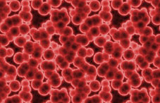 Hormones illustration