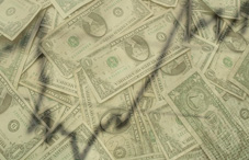 Large group of dollar bills 