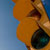 Traffic light