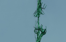 Torn green rope
