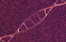 DNA illustration