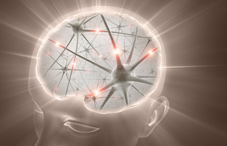 Human head illustration containing a glowing web  