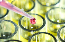 Dropper over test tubes